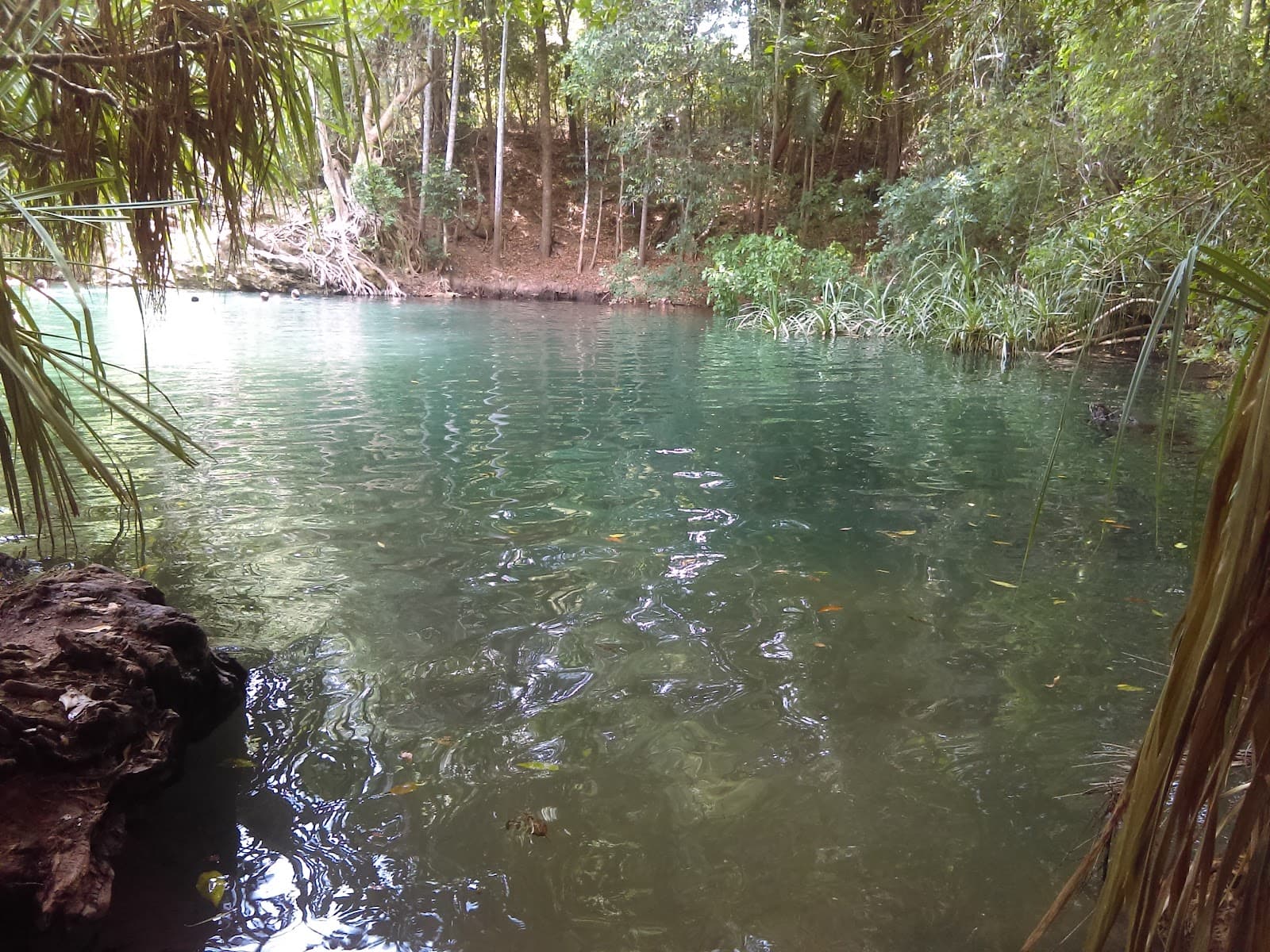 Territory Wildlife Park — Darwin CBD, Darwin