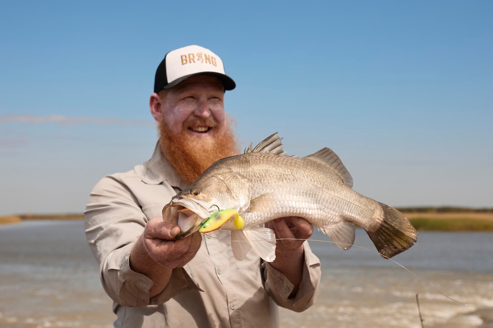 Million Dollar Fish — Parap, Darwin