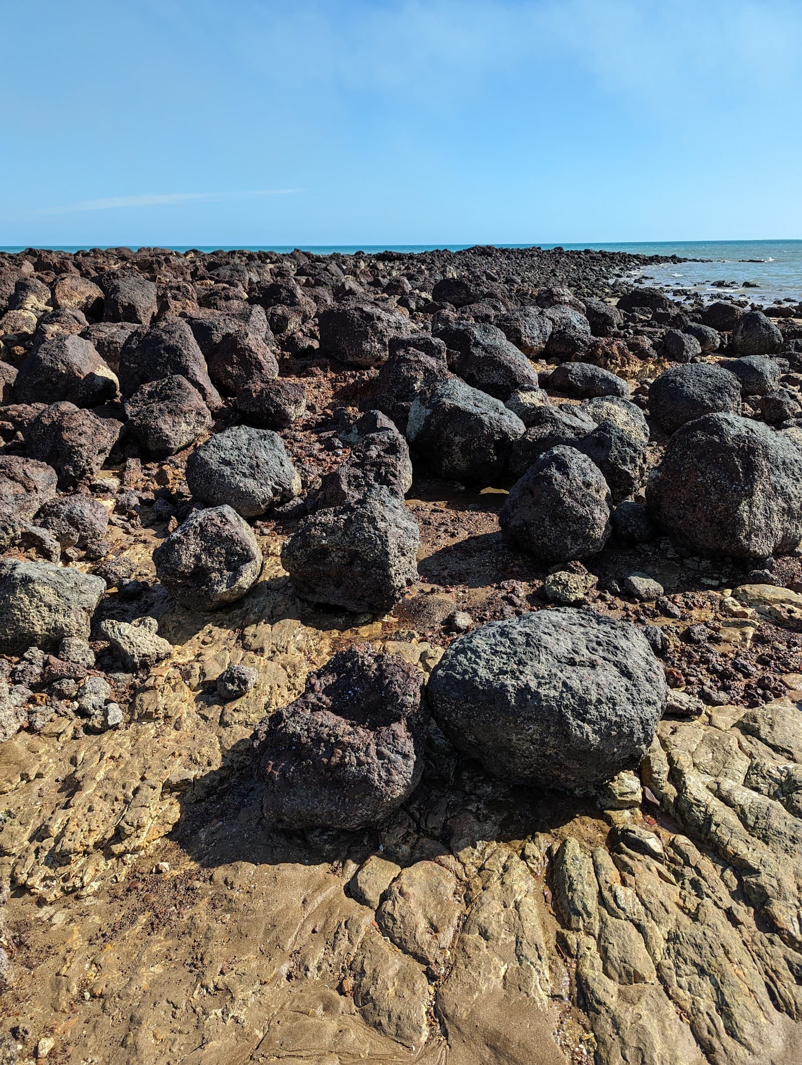 Nightcliff Corals — Nightcliff, Darwin
