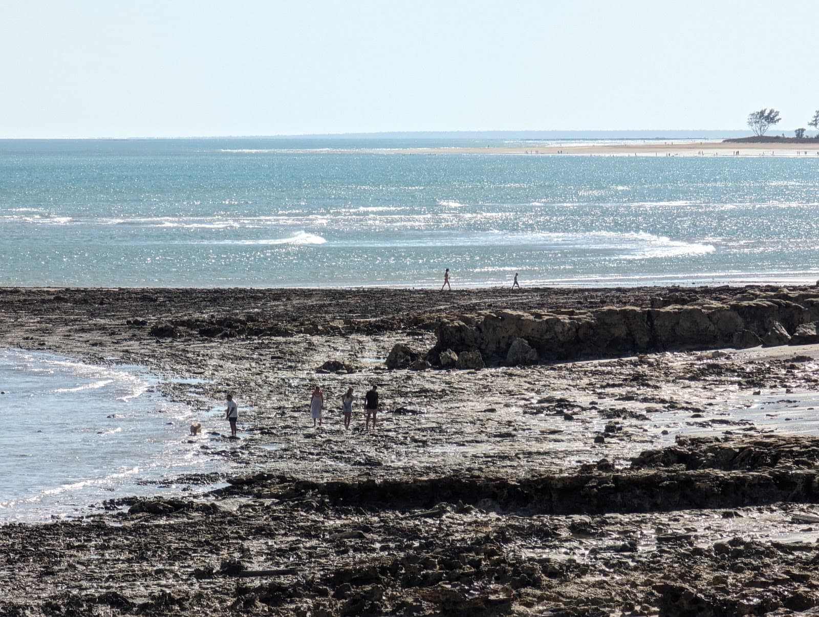 Nightcliff Corals — Nightcliff, Darwin