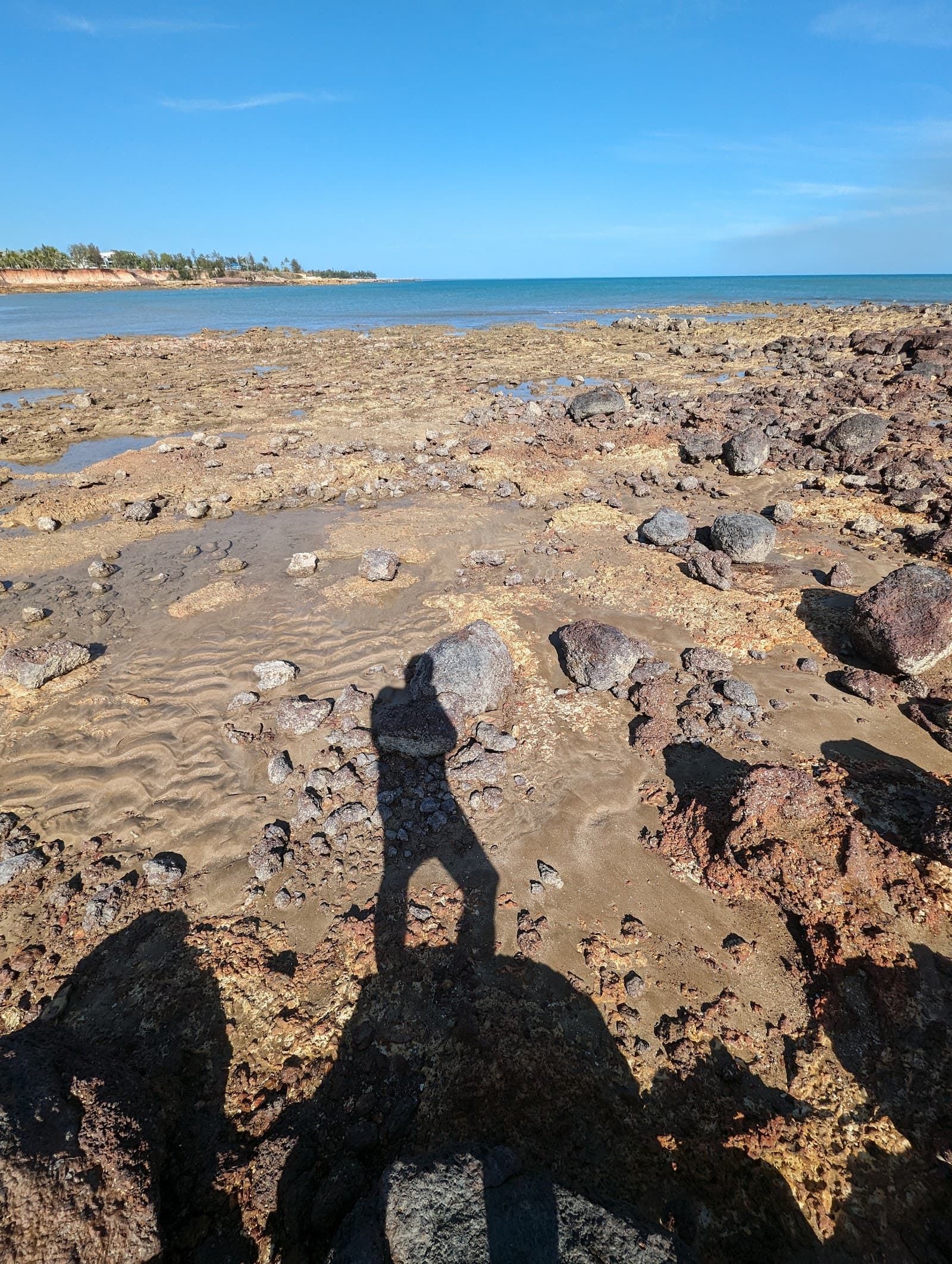 Nightcliff Corals — Nightcliff, Darwin