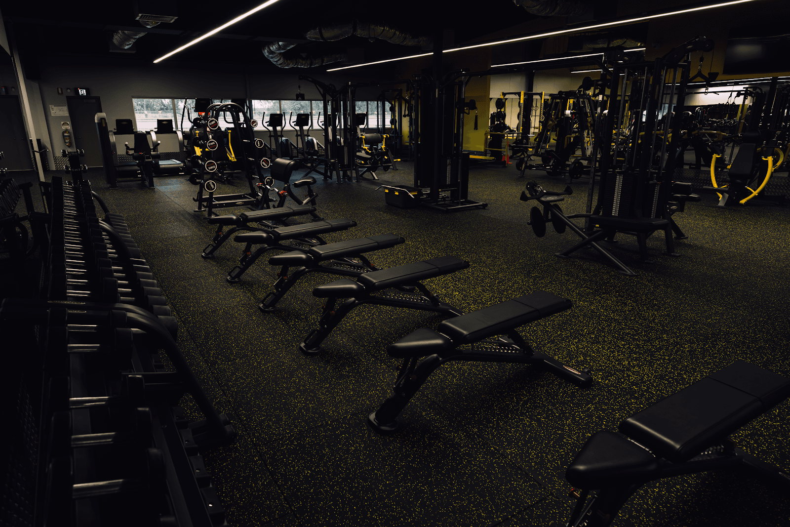 Athletic Gym & Recovery Centre — Waterfront, Darwin