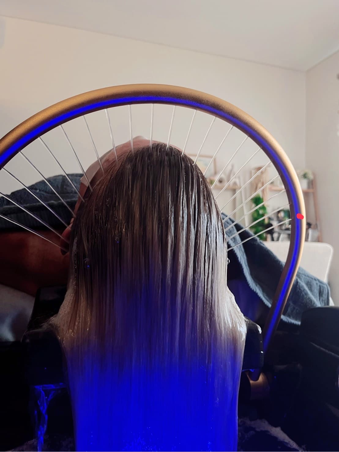 Elysian — Casuarina, Darwin