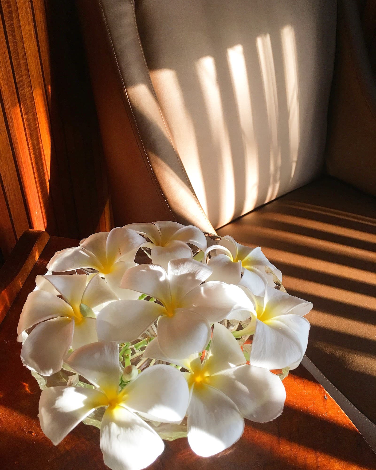 Nakara Cove Massage — Casuarina, Darwin