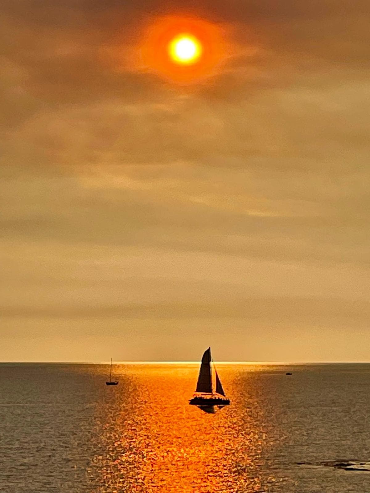 City of Darwin Cruises — Cullen Bay, Darwin
