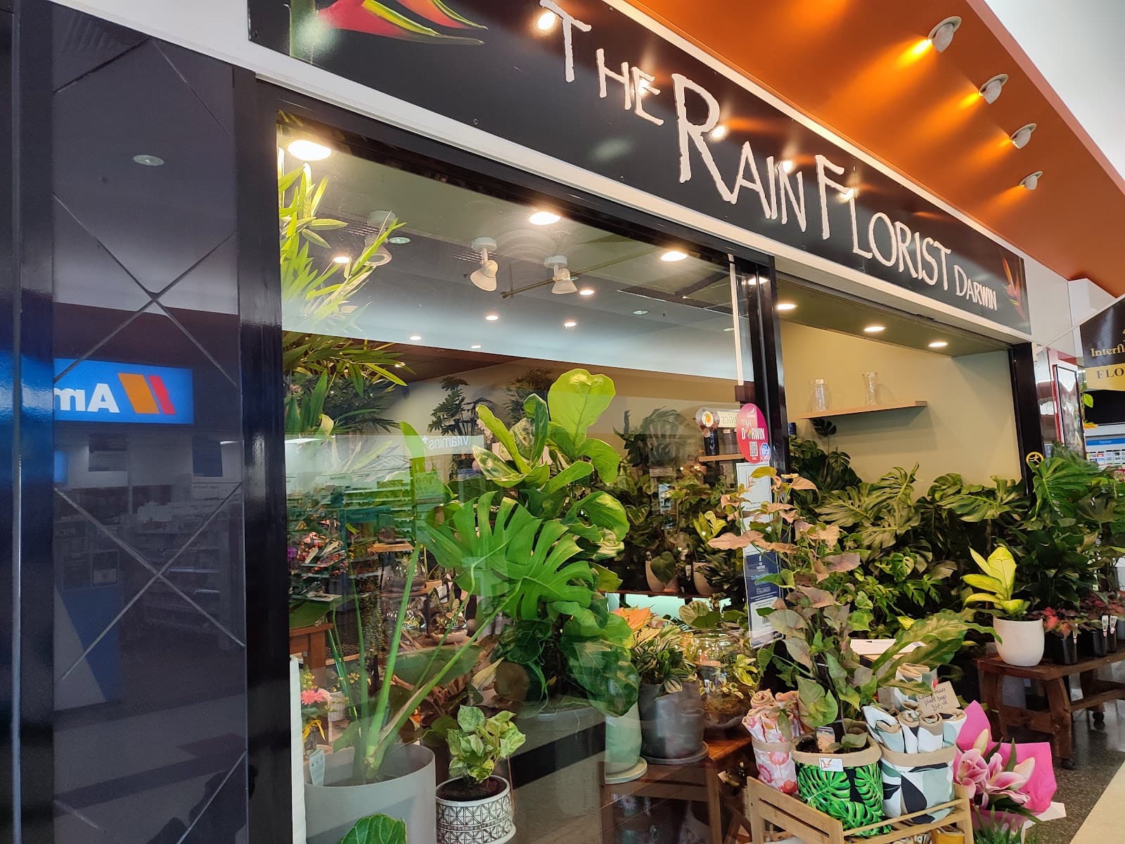 The Rain Florist Darwin — Nightcliff, Darwin