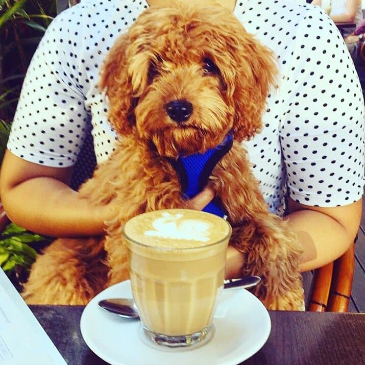 Cafe Central Darwin