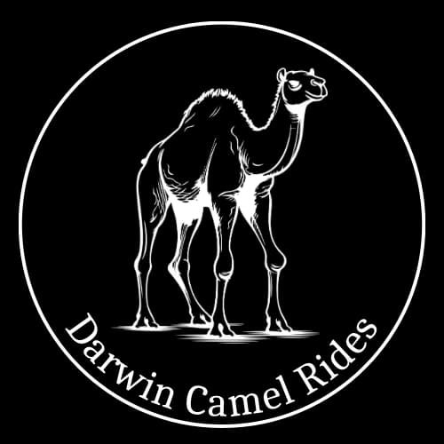 Darwin Camel Rides
