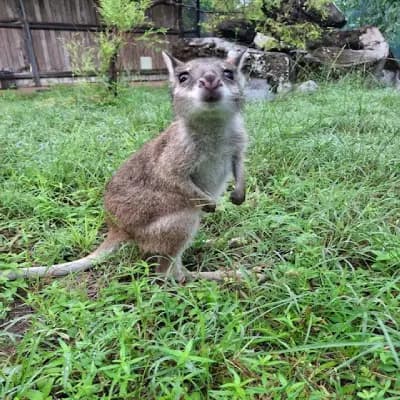 Territory Wildlife Park