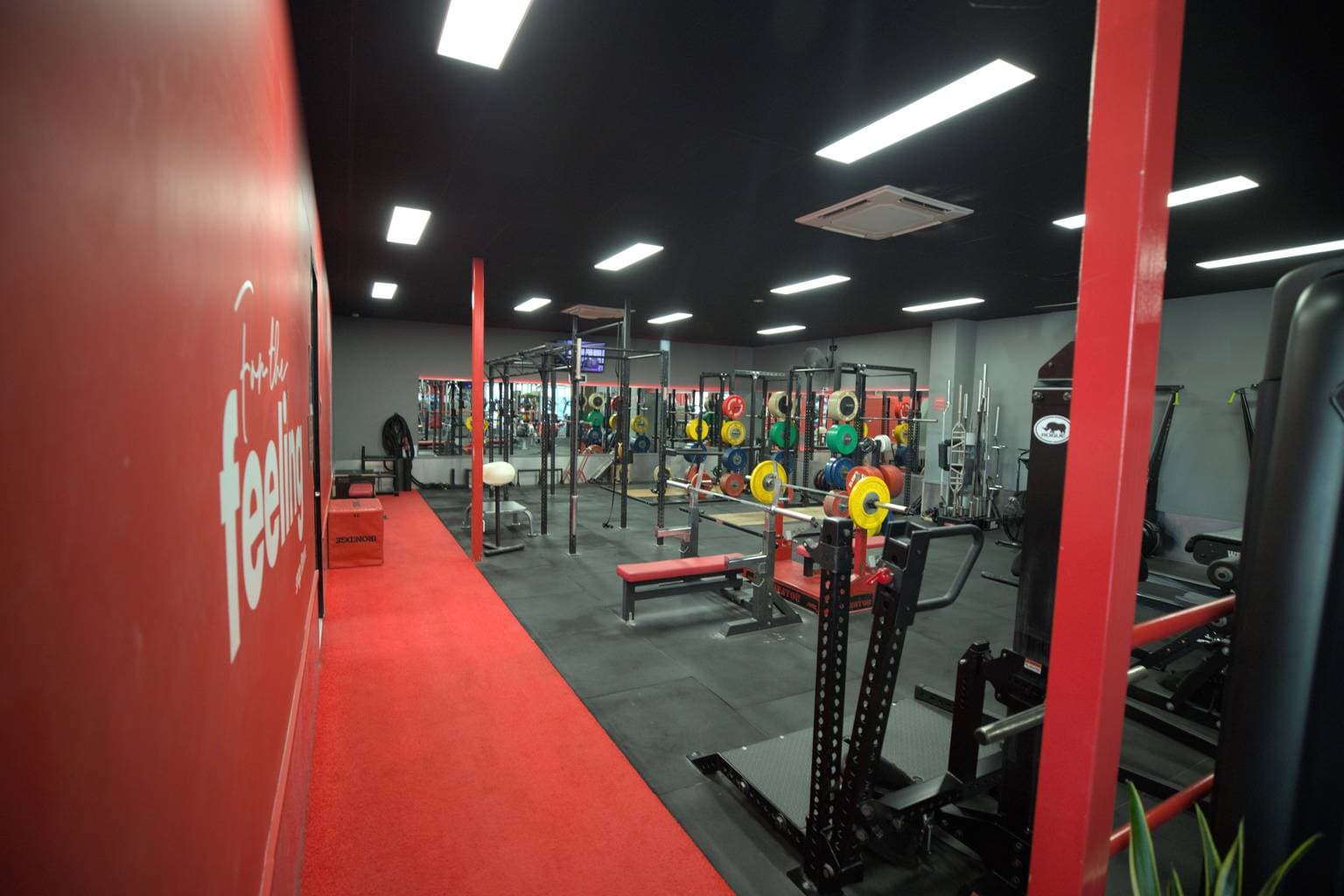 Snap Fitness 24/7 Parap